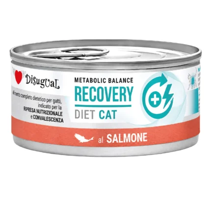 disugual diet recovery Salmon
