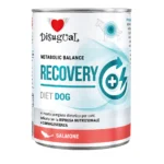 Disugual dieta gastrointestinal Salmon