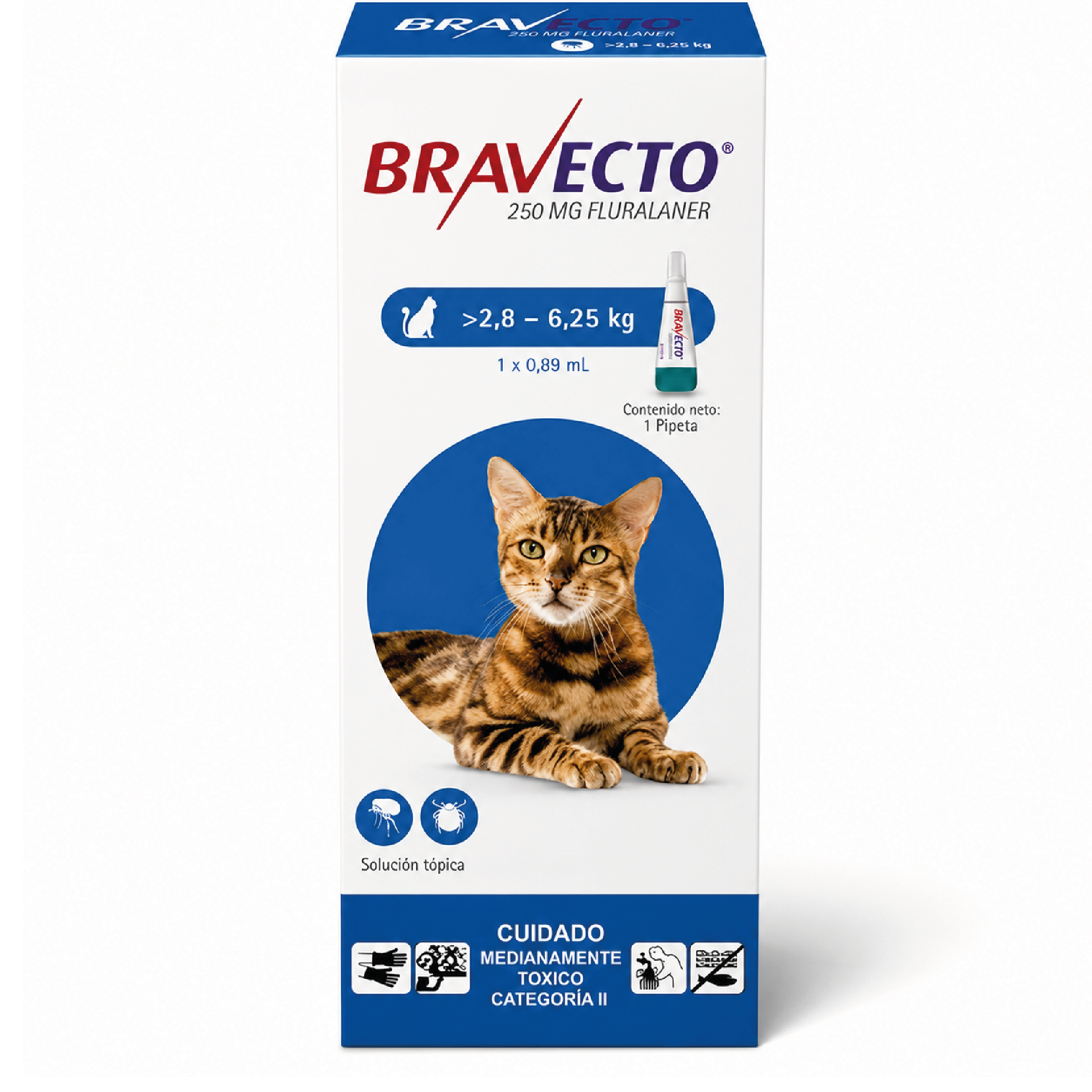 Antiparasitario externo para gato Bravecto