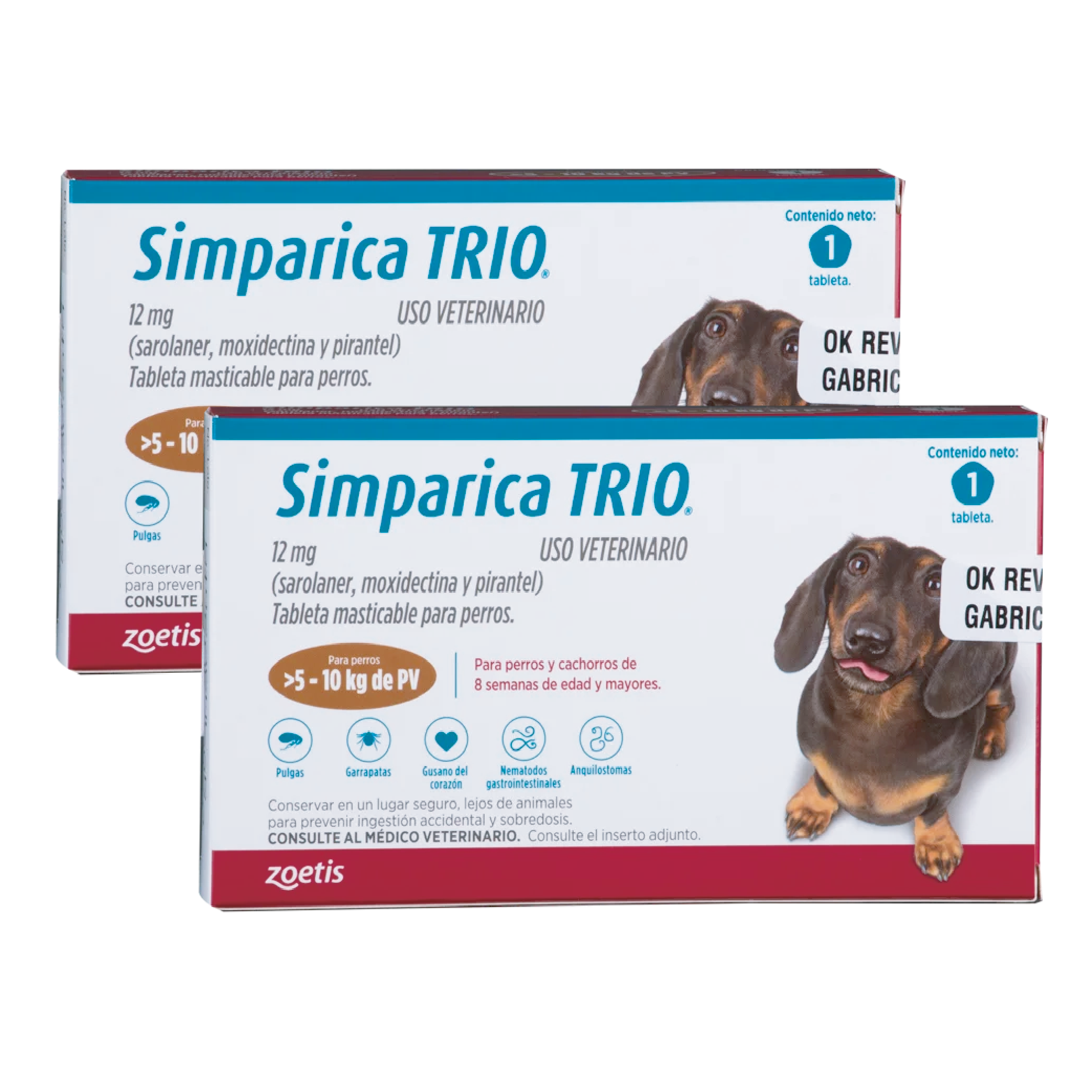 Sin título-2-14 Promoción simparica trio caja cafe peso 5 a 10 kg ( 2 und con 50% de descuento) - Imagen 1