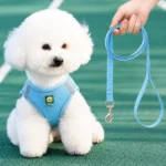 Pechera con traílla sencilla para perro Calabaza Pets color azul