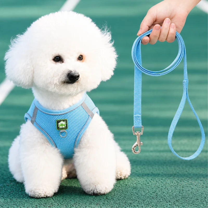 Pechera con traílla sencilla para perro Calabaza Pets color azul