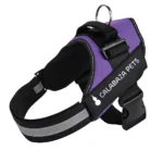 para perro Calabaza Pets color morado