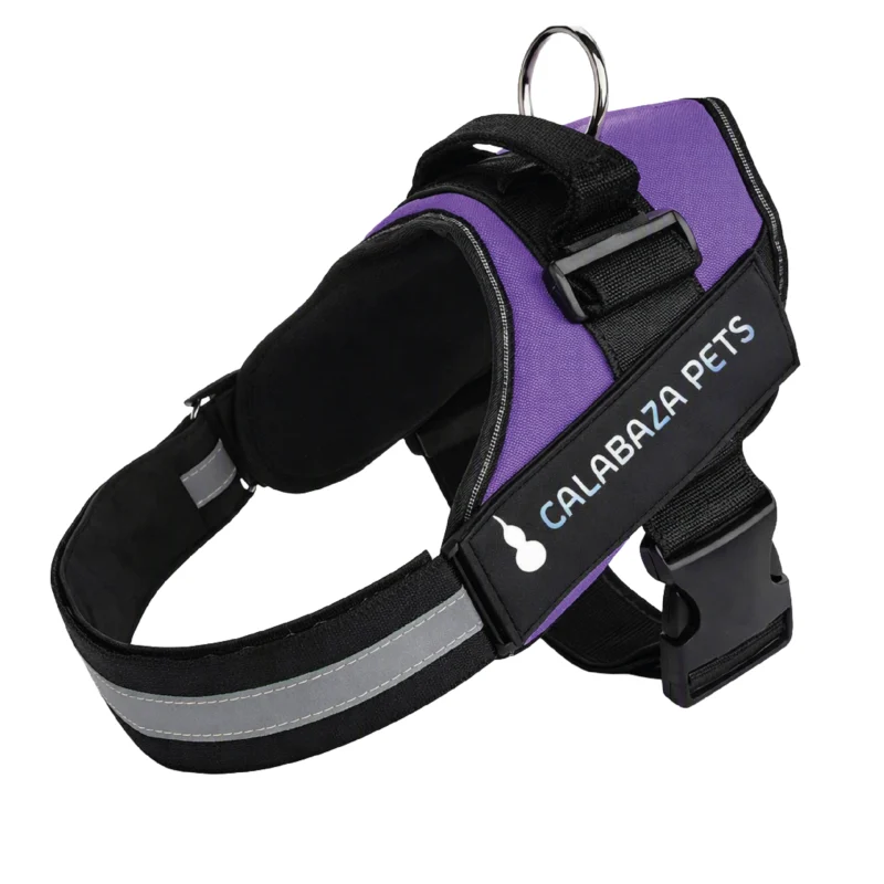 para perro Calabaza Pets color morado