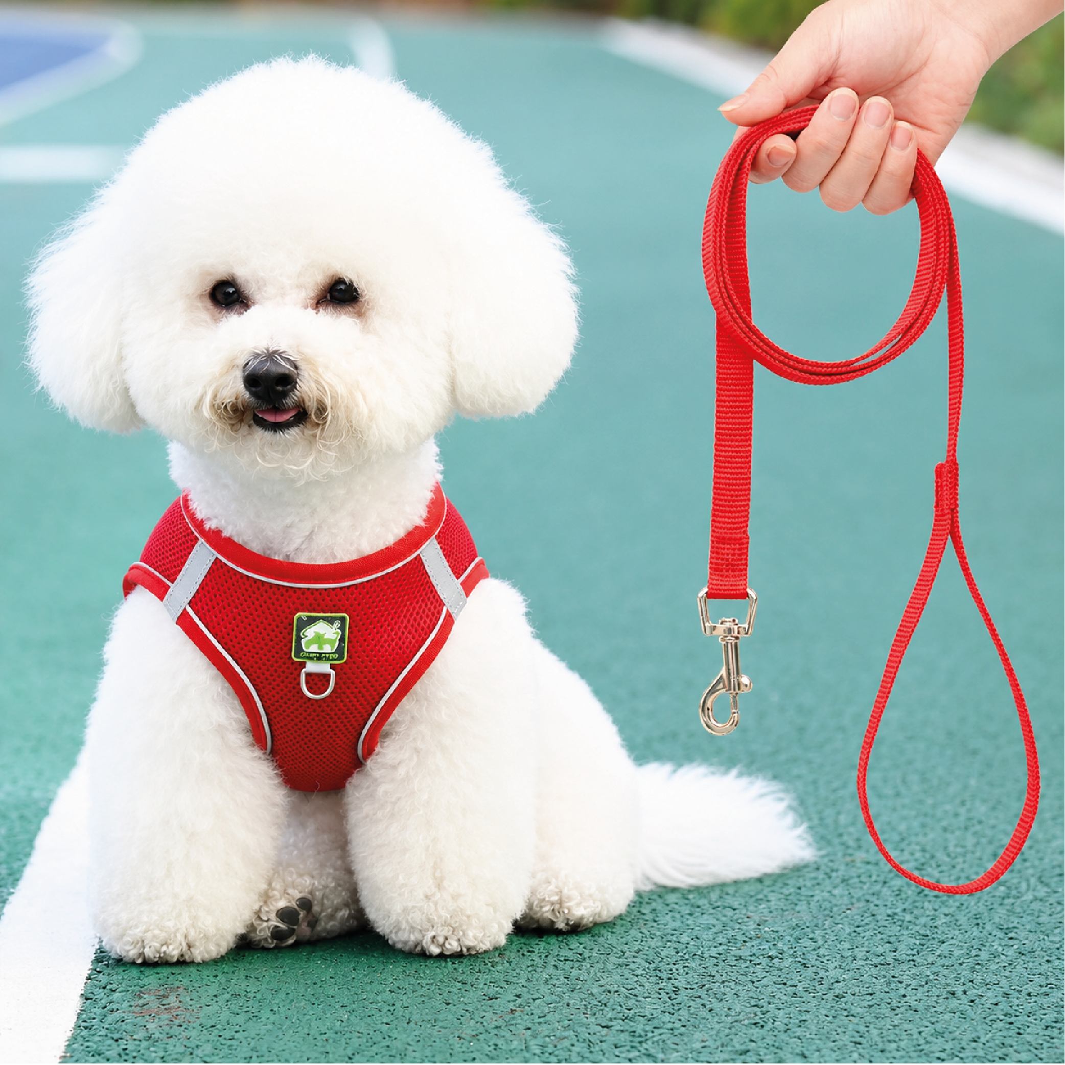 arnes-pecheras-12 Pechera con traílla sencilla para perro Calabaza Pets color rojo