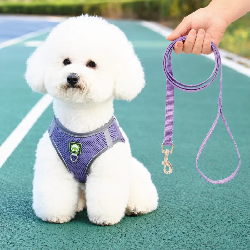 Pechera con traílla sencilla para perro Calabaza Pets color morado