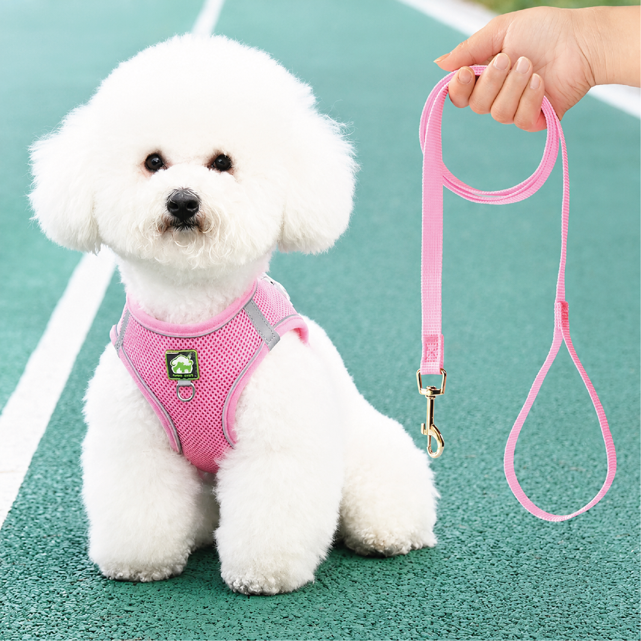 arnes-pecheras-14 Pechera con traílla sencilla para perro Calabaza Pets color rosa