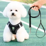 Pechera con traílla sencilla para perro Calabaza Pets color negro
