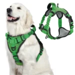 Pechera de absorción de impactos para perro Calabaza Pets color verde