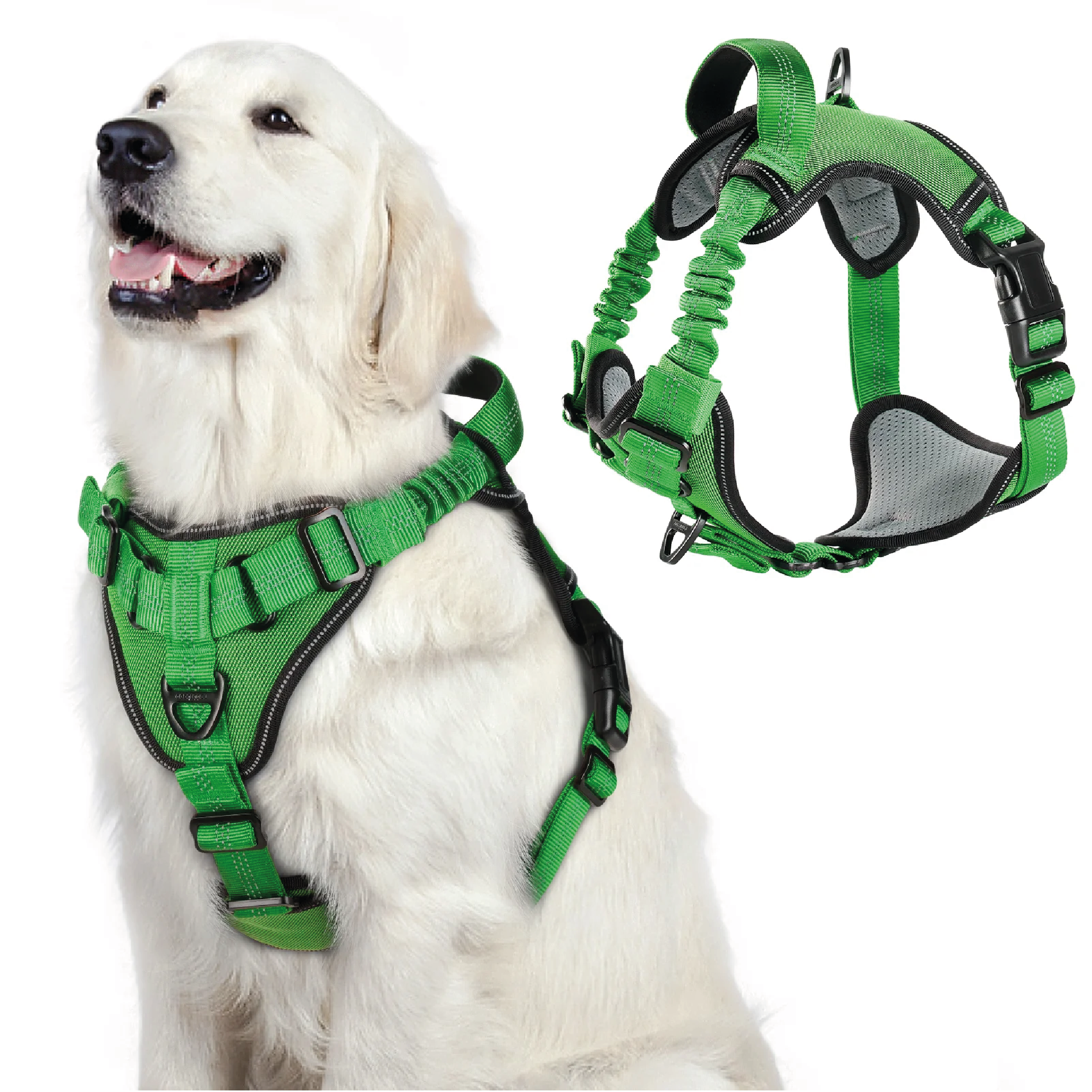 Pechera de absorción de impactos para perro Calabaza Pets color verde